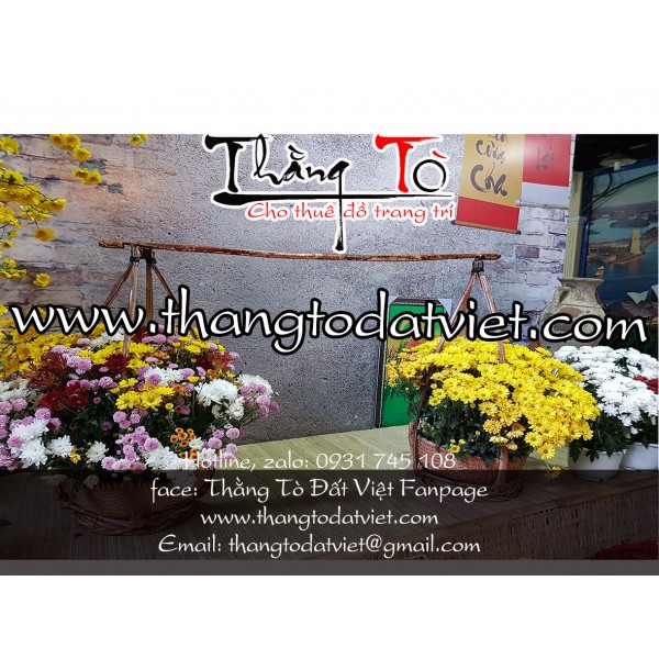 tiểu cảnh tết đẹp5